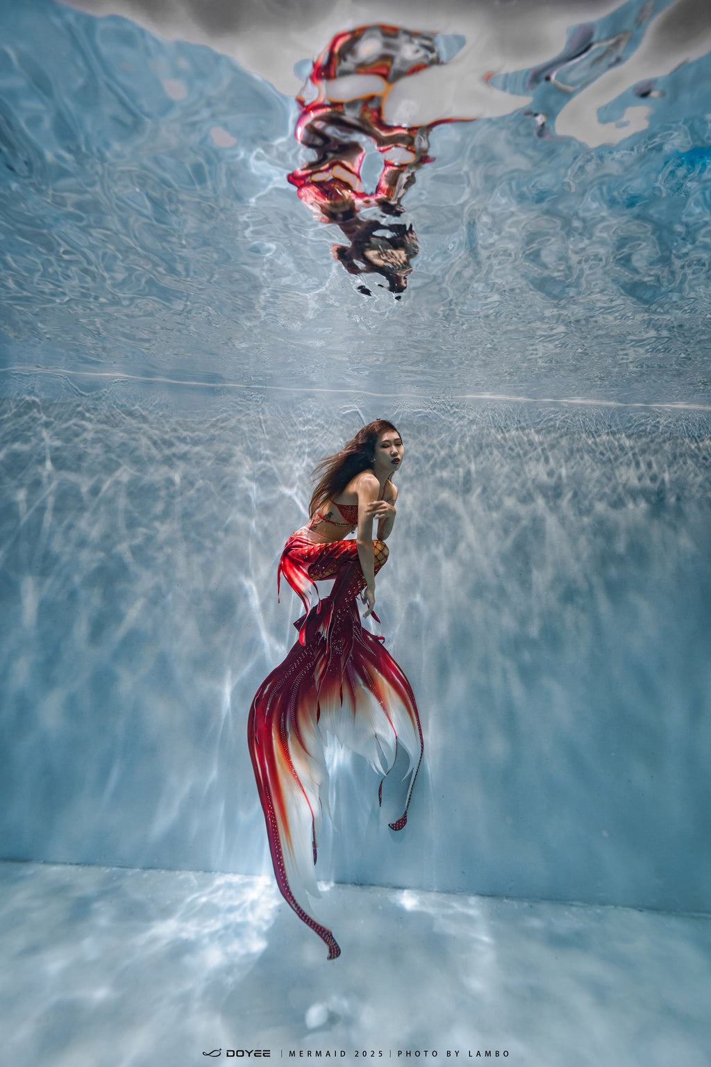 Bionic Mermaid Fishtail Begonia