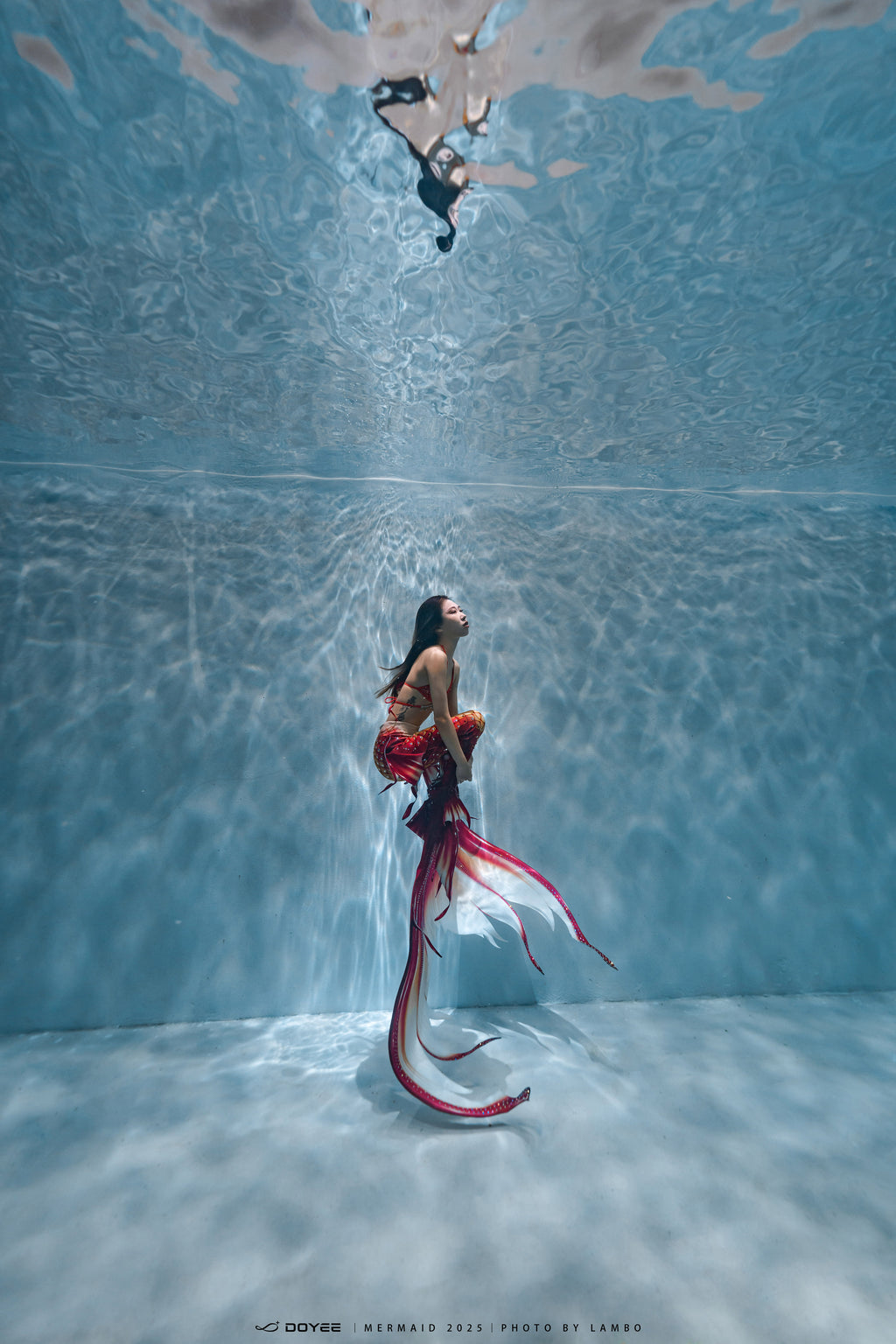 Bionic Mermaid Fishtail Begonia