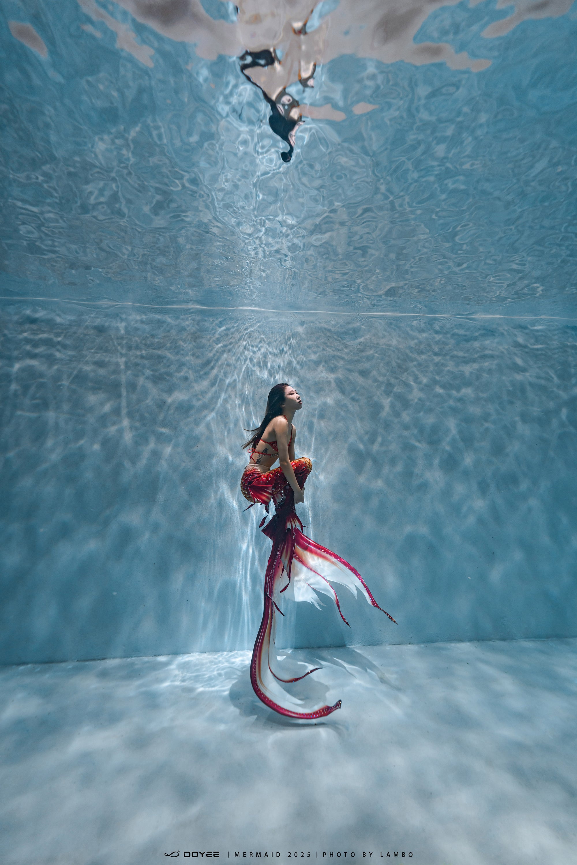 Bionic Mermaid Fishtail Begonia