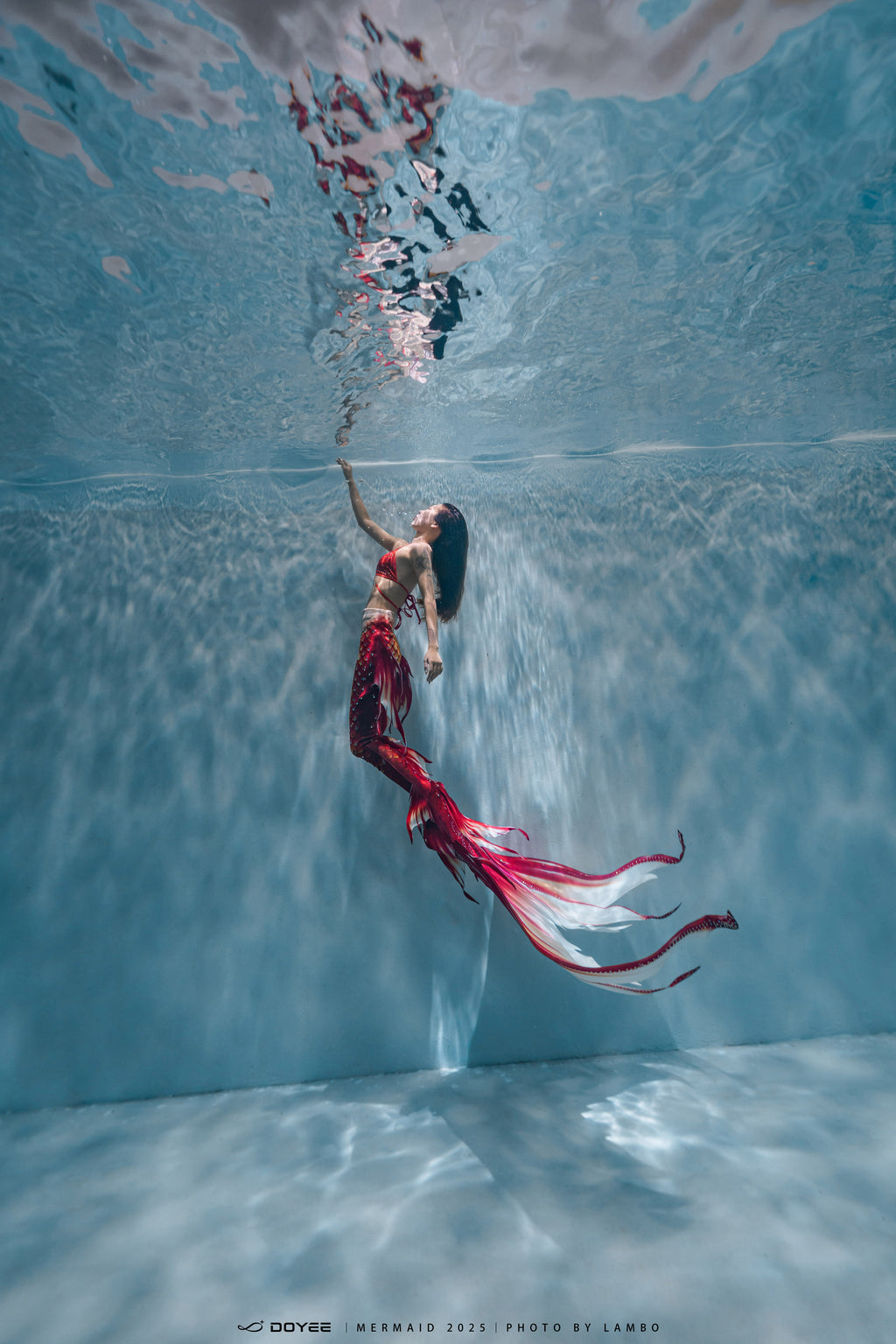 Bionic Mermaid Fishtail Begonia