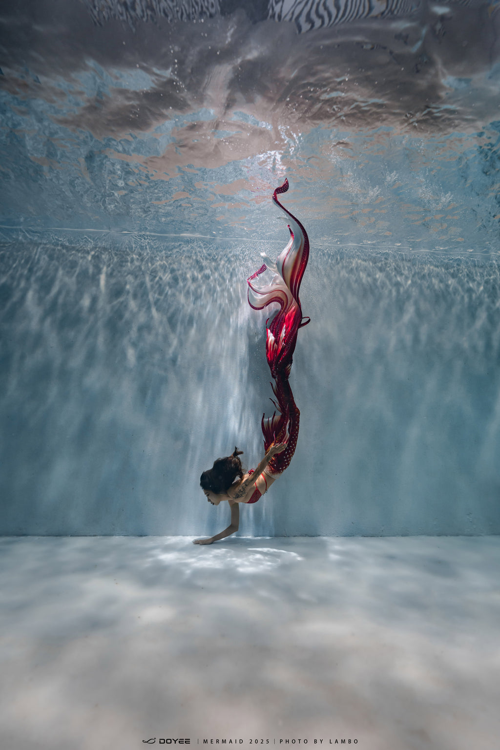 Bionic Mermaid Fishtail Begonia