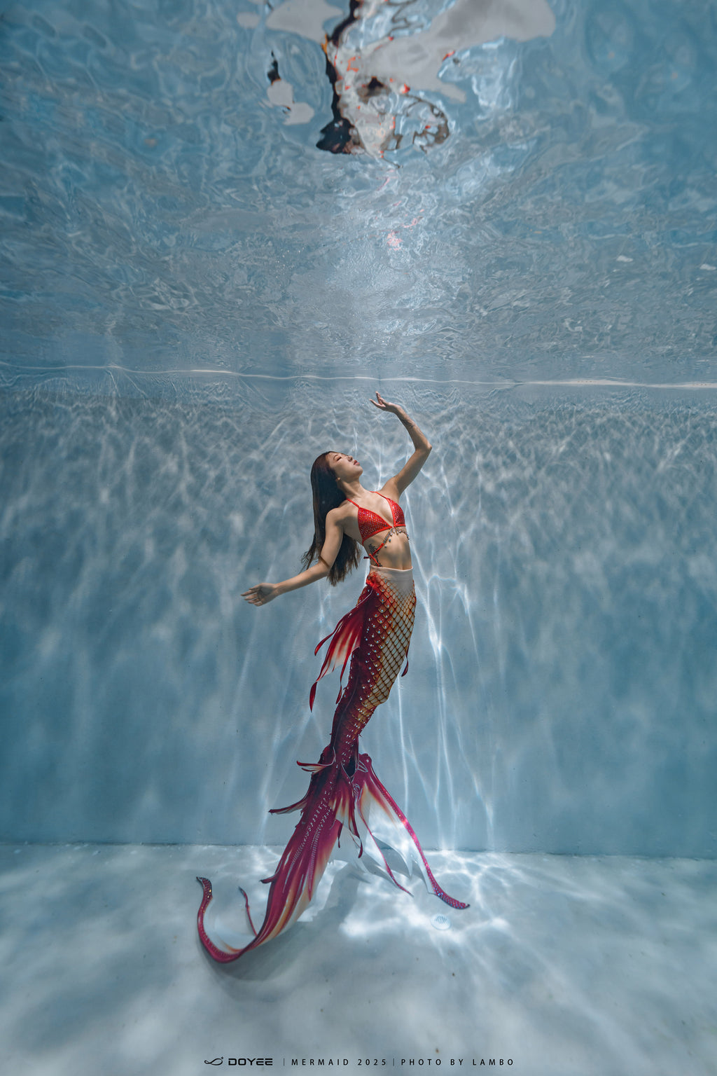 Bionic Mermaid Fishtail Begonia