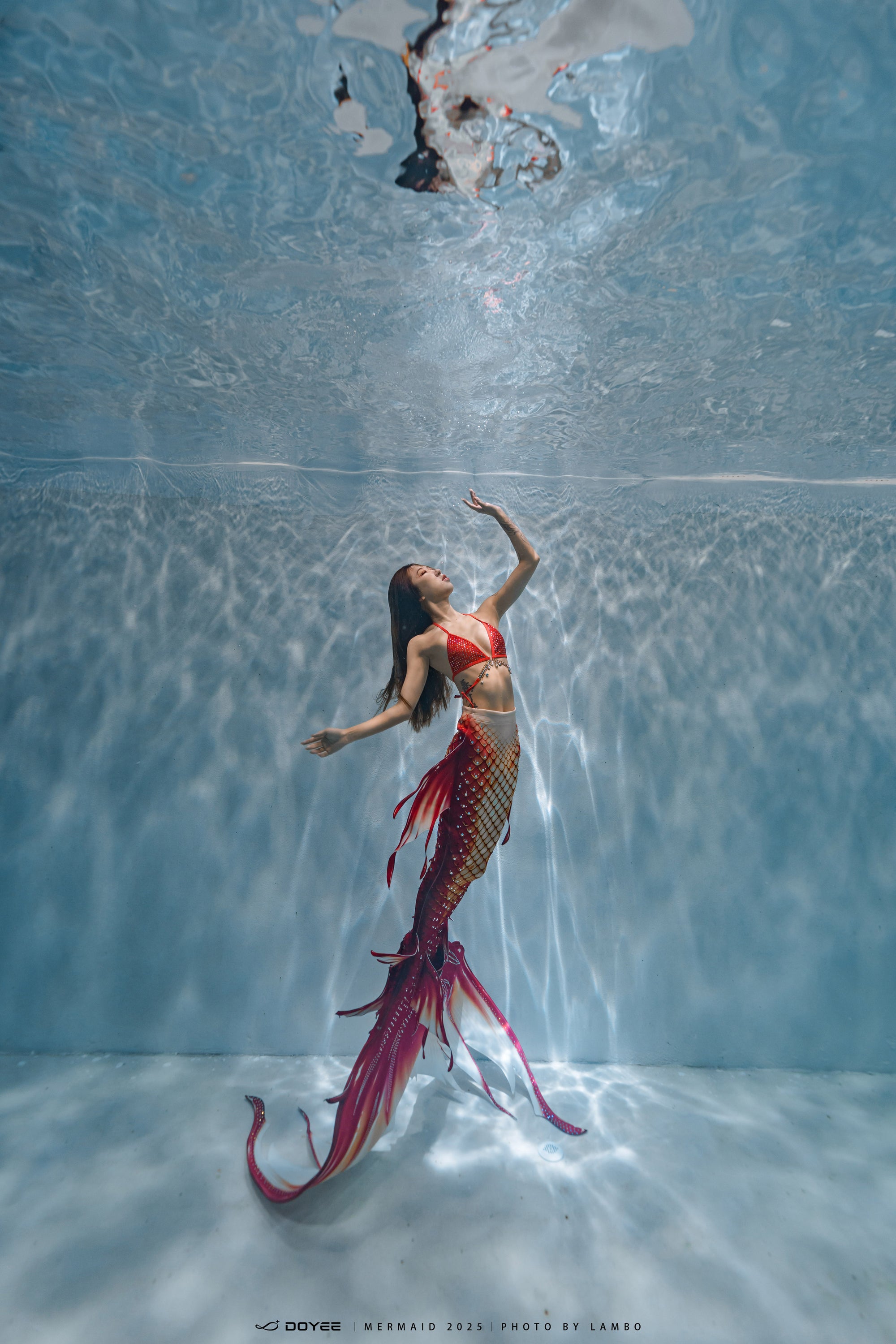 Bionic Mermaid Fishtail Begonia