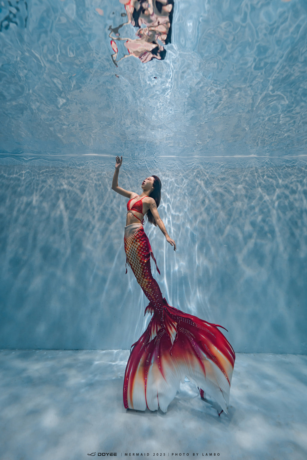 Bionic Mermaid Fishtail Begonia