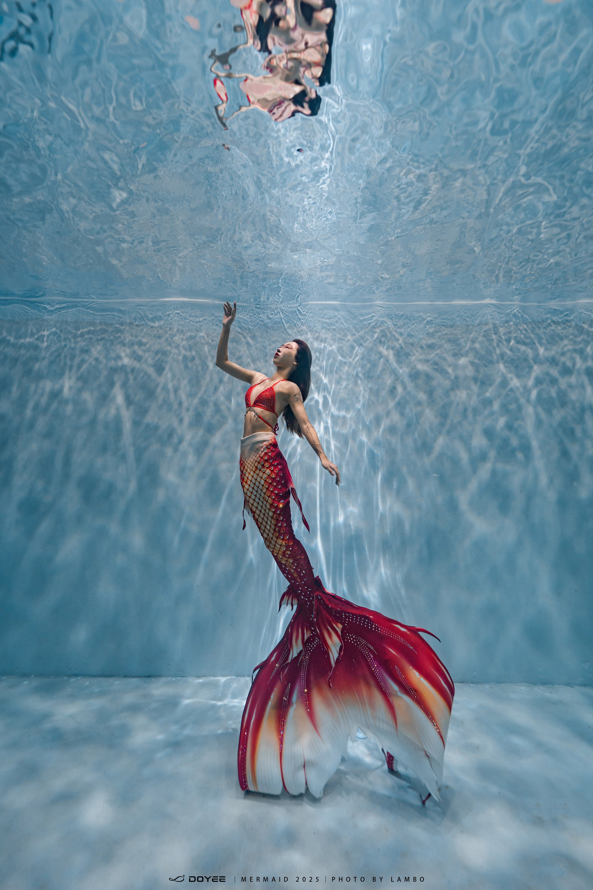 Bionic Mermaid Fishtail Begonia