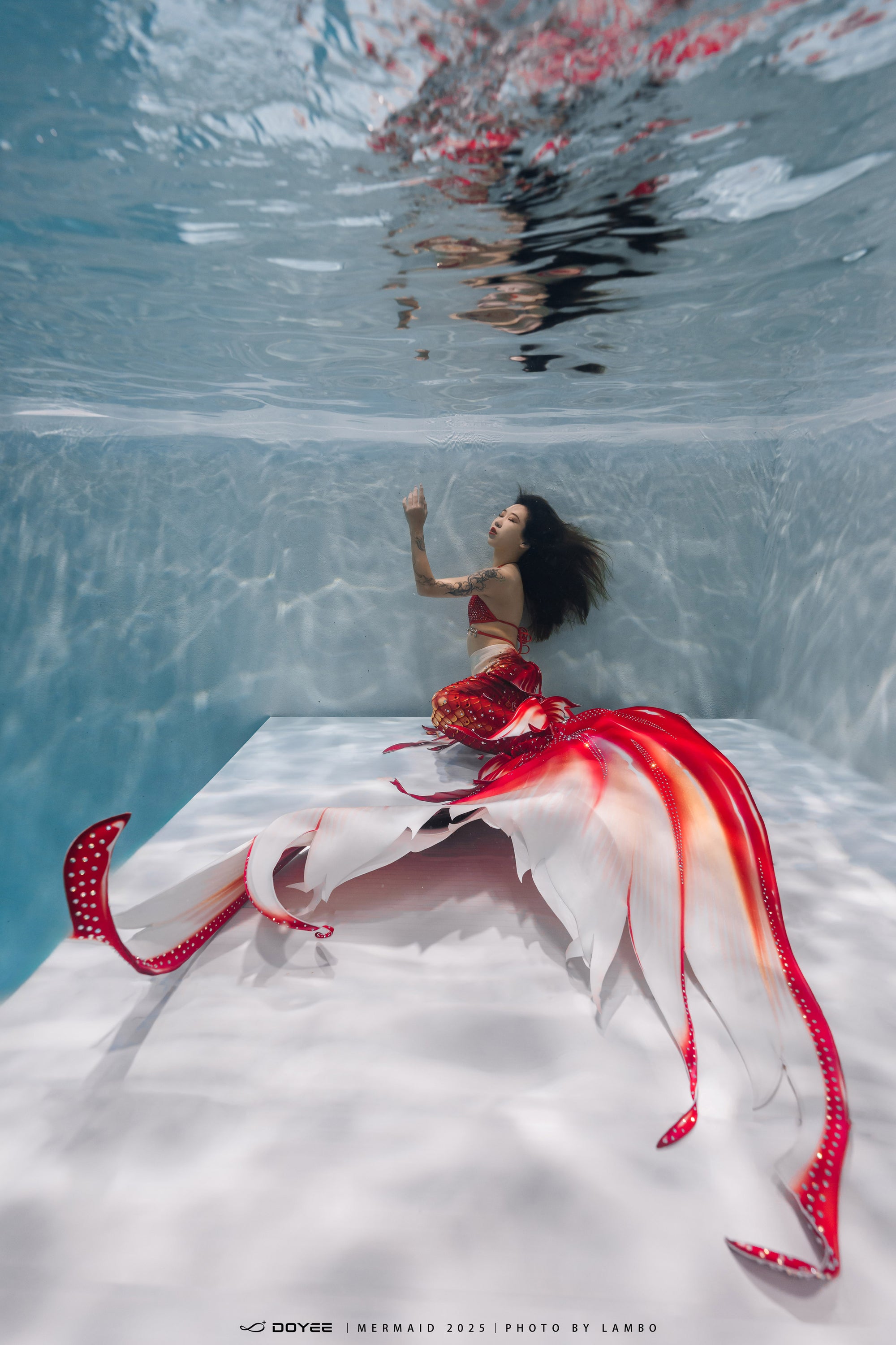 Bionic Mermaid Fishtail Begonia