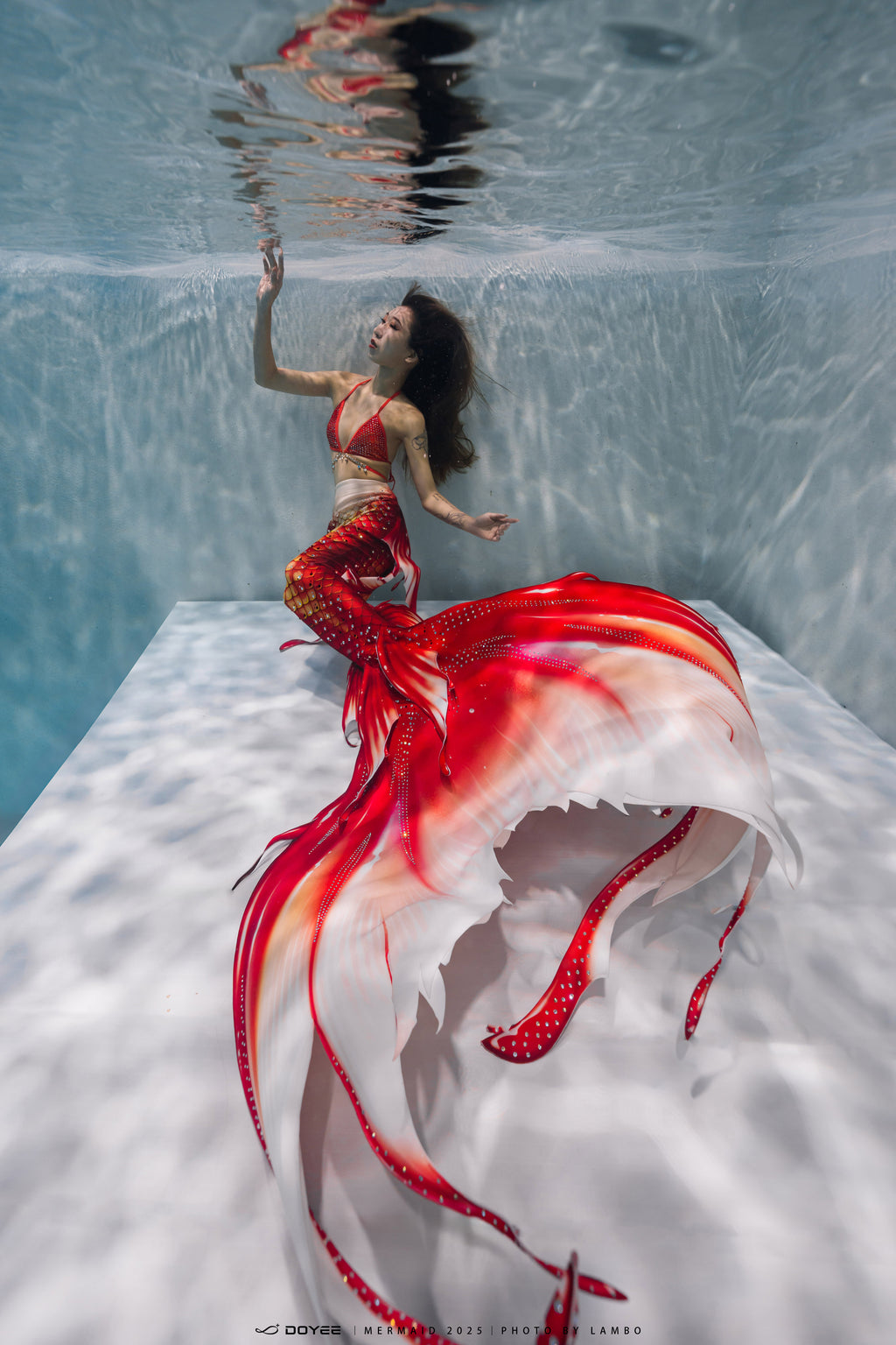 Bionic Mermaid Fishtail Begonia